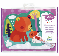 Hidden Woods Water Painting Kit