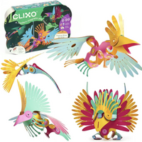 Tropical Birds