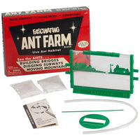 Fascinating Ant Farm