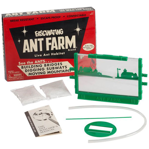 Fascinating Ant Farm | Terra Toys