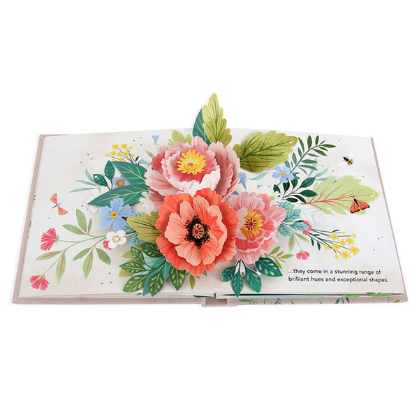 Flora: A Botanical Pop-Up Book | Terra Toys