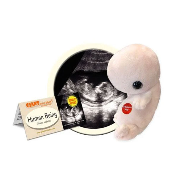 Human Being | Terra Toys