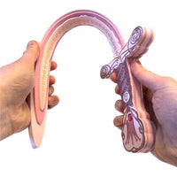 Queen Rosa Foam Sword