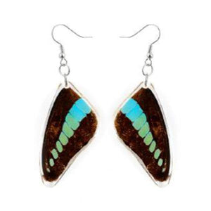 Bottle Swallowtail Butterfly Earrings