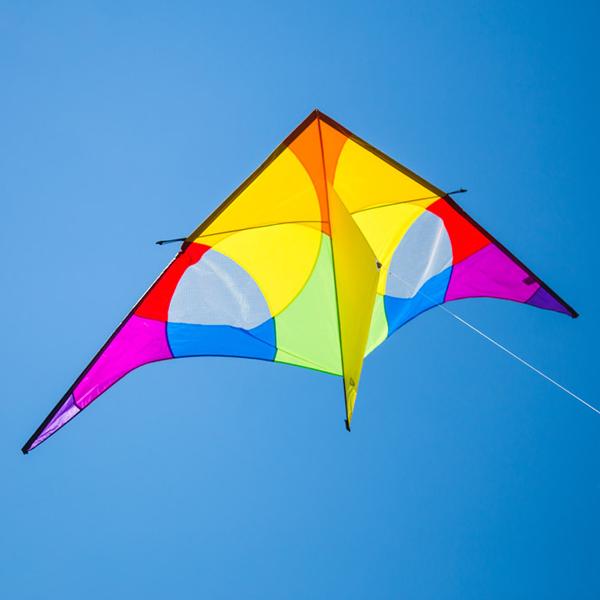 Delta Rainbow 3m Kite