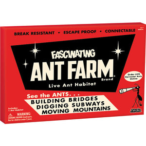 Fascinating Ant Farm