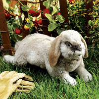 Holland Lop Rabbit Puppet
