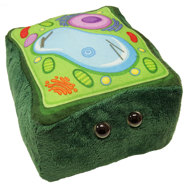 Plant Cell