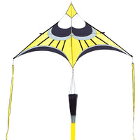 Hoffmann's Canard Delta Kite
