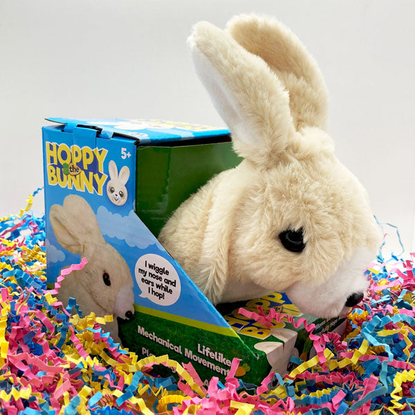 Hop & Squeak Hoppy the Bunny | Terra Toys