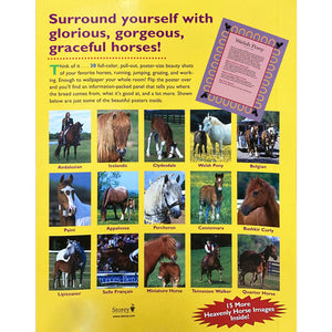 Horse Breeds Poster Book