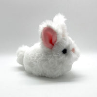 Natural Lil' Bitty Bunnies (Assorted)