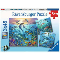 Ocean Life - 3 Puzzles (49pc)