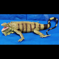 Safari Ltd. Iguana (11in)
