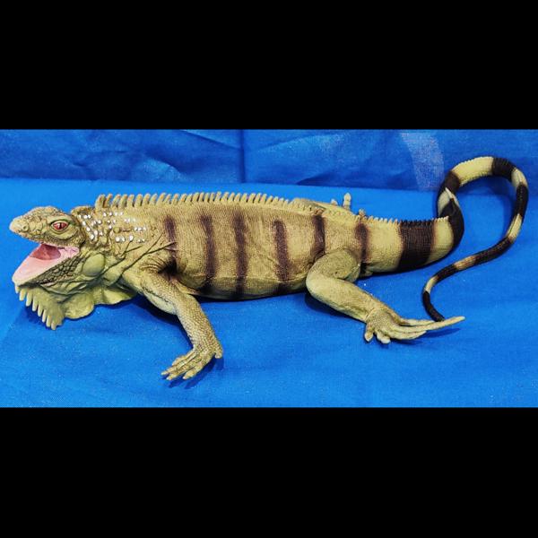 Safari Ltd. Iguana (11in) | Terra Toys