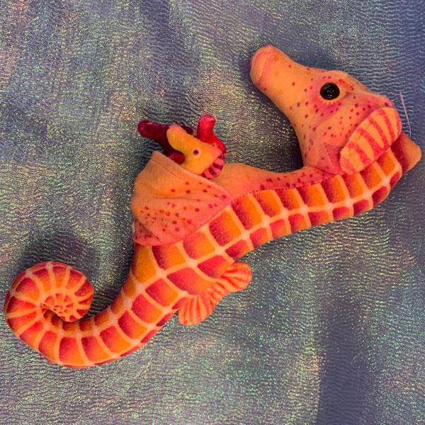 Seahorse Dad with Babies
