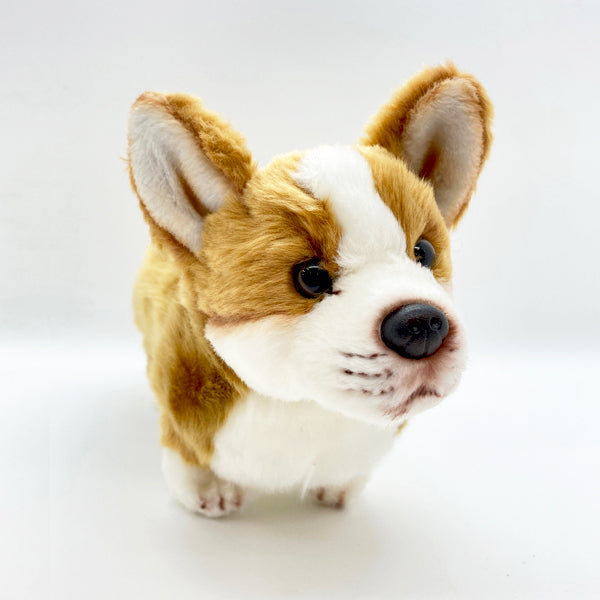 Small Corgi Plush | Terra Toys
