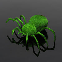 Spooky Spider RC
