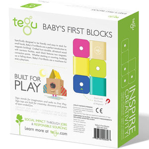 Tegu Baby's First Blocks (6pc) (6mo+)