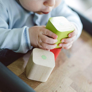 Tegu Baby's First Blocks (6pc) (6mo+)