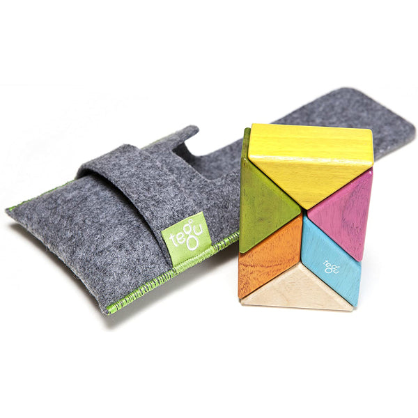 Tegu Pocket Pouch Prism 6pc (Tints) (1+)