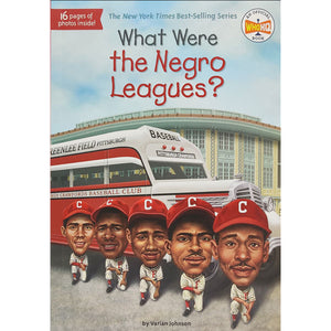 What Were the Negro Leagues?